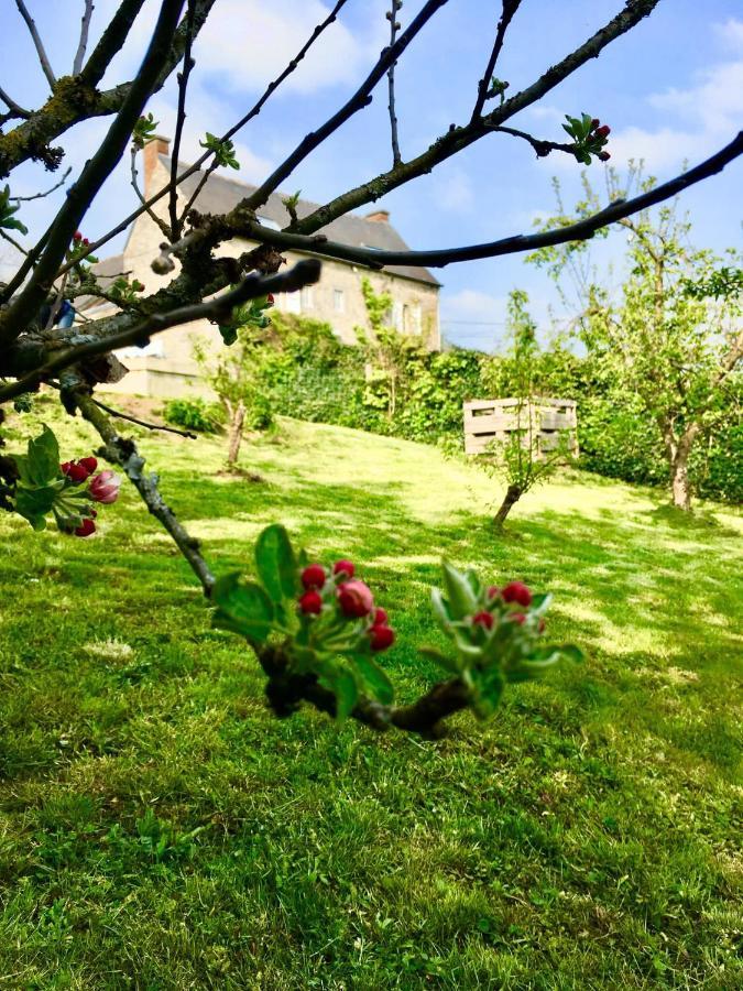 Gite La Petite Beurrerie Des Ardennes Celles  Εξωτερικό φωτογραφία