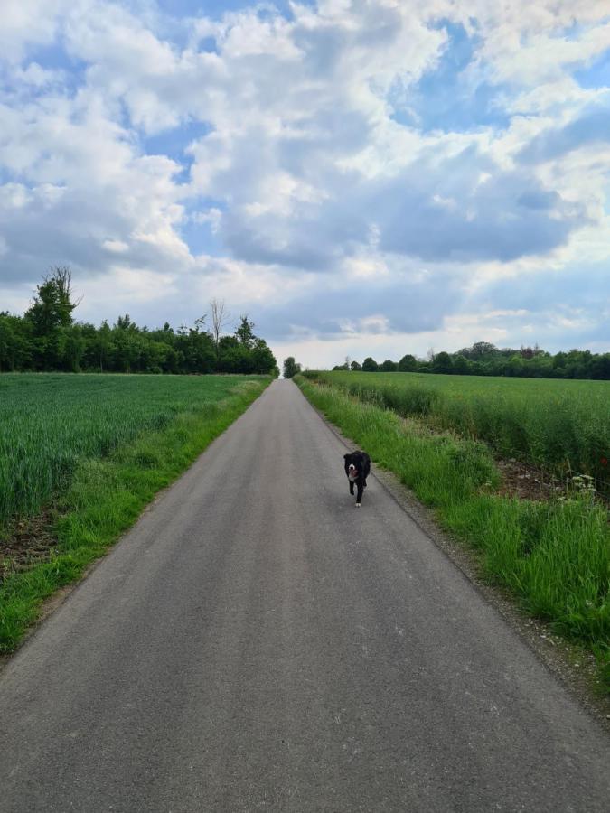 Gite La Petite Beurrerie Des Ardennes Celles  Εξωτερικό φωτογραφία