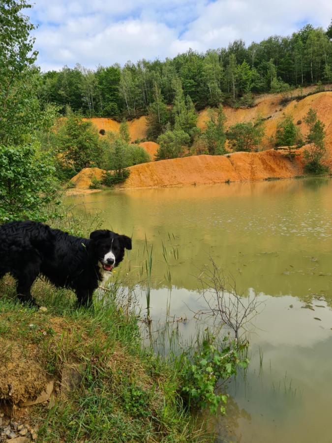 Gite La Petite Beurrerie Des Ardennes Celles  Εξωτερικό φωτογραφία
