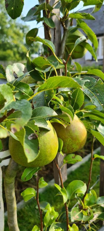 Gite La Petite Beurrerie Des Ardennes Celles  Εξωτερικό φωτογραφία