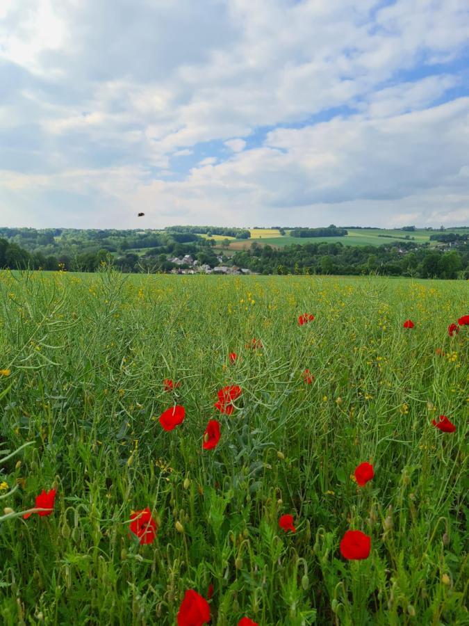 Gite La Petite Beurrerie Des Ardennes Celles  Εξωτερικό φωτογραφία